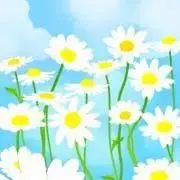 ピロ