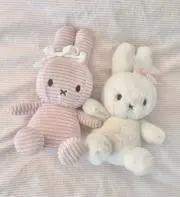 めるの画像