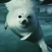 ゆきゆき