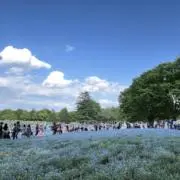 shallyの画像