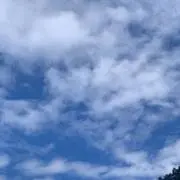 まる
