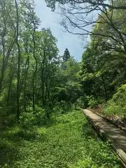 mokomokoの画像