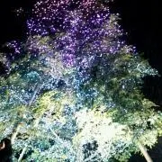 プロフ必ずお願いいたします。M★M