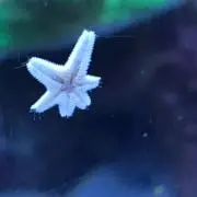 とけとけの画像