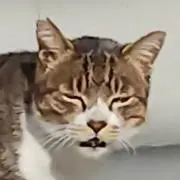 えびたろう