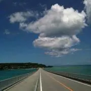 真