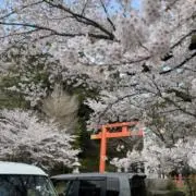 あきたの画像