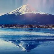 ナナの画像
