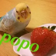 ゆっこ
