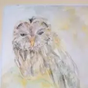 ともかほままの画像