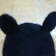 マツリカ/値下げ交渉可の画像