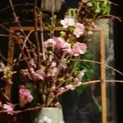 ゆっこ