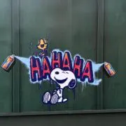 Momoの画像