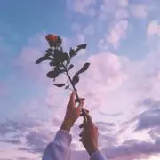 ゆちぇの画像