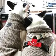 あじゅ&よも