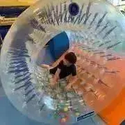 みずたまの画像