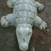 WANIDAの画像