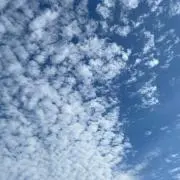 EEMIの画像