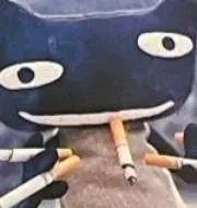 たままちわの画像
