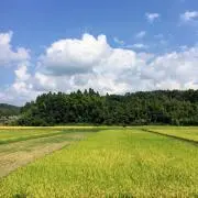 tabibitoの画像