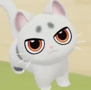 コイシの画像