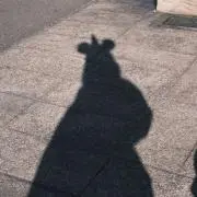 PEANUTS