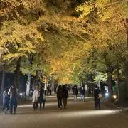 momの画像