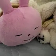 ポメちゃんやよの画像