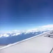 ボラムの画像