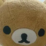 elmdrk12065の画像