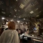 しゅんT M