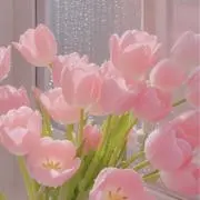tomomiの画像