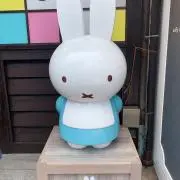 みの画像