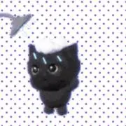 ちゃま♡