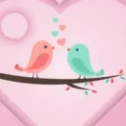 チッピ