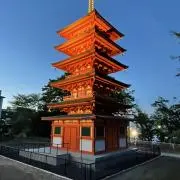 ライムの画像