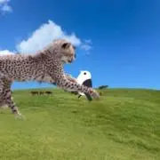 ^-^