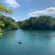 ゆみ