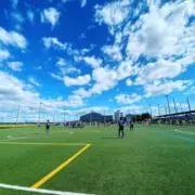 selecao01の画像
