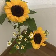 ひまわり。フォローで100円値下げ！