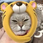ゆんぴ。の画像