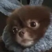 mの画像