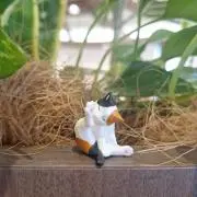 さくらもちの画像
