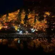 ケイの画像