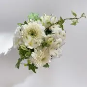 茉莉絵の画像