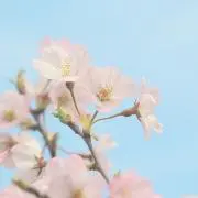 moco*の画像