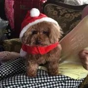 さちの画像