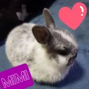 ゆゅ。
