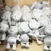surkiyの画像