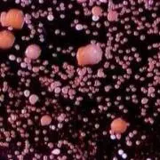 とも